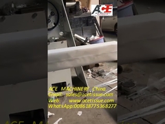 Z 겹 손타월을 위한 자동 종이 타월 뭉치 포장기